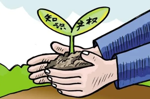 <b>版權登記流程，辦理版權登記到哪里？</b>